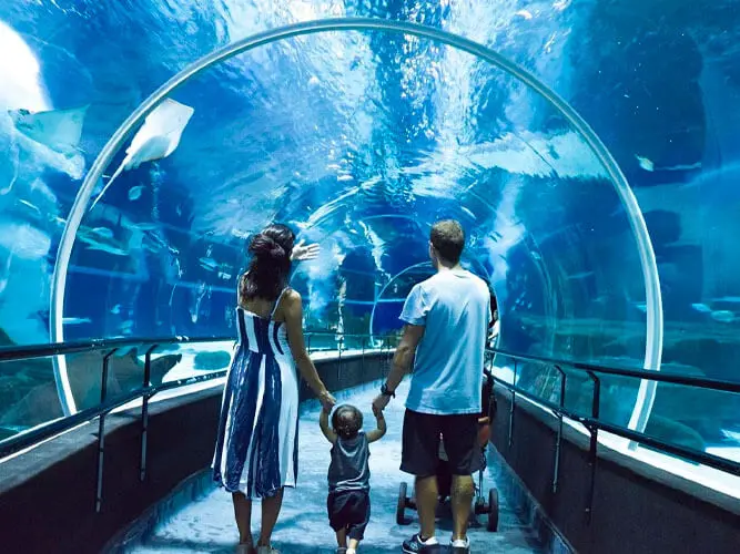 Passeio no AquaRIo do Rio de Janeiro e Museu do Amanha com ingresso